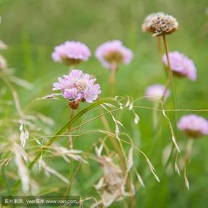 友情能用于作文的句子