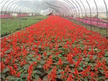 经典人生句子大全？关于经典,人生,短句句子大全摘录26句