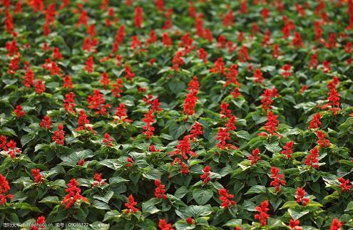 酒桌上夸人的话语大全 夸人能干的句子男生有哪些