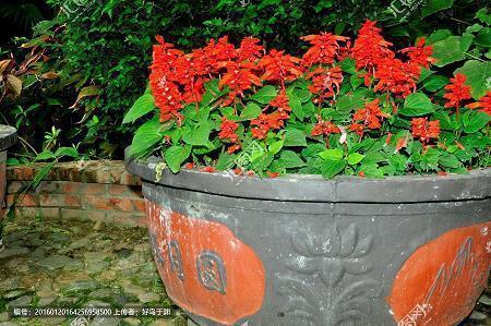 2021年高考朋友圈个性说说大全38句