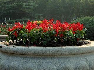 经典留言语句 毕业留言经典语句推荐53句