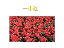 朋友相遇是缘分的句子