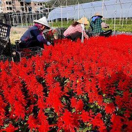 用玉不琢不成器造句大全