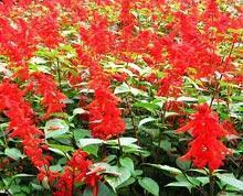 2021年夜饭说说心情短语