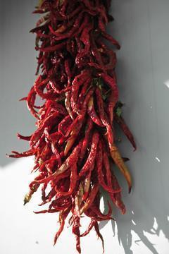 当被友情背叛的句子15句