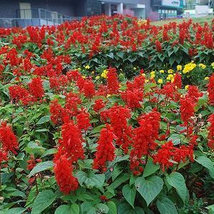 看完伤感落寞的句子