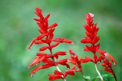 鼓励坚持不放弃的句子 坚持的名言警句汇总75句