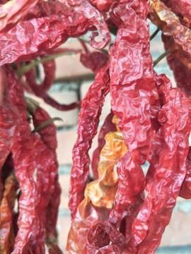 裟椤双树的爱情句子