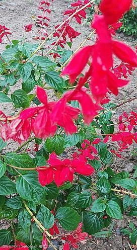 朋友圈晚安正能量的句子 晚安朋友圈简短问候语精选81句