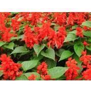 简单鼓励自己的句子 简短自我激励词