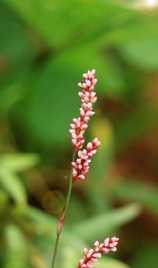 领导对员工年度工作考核评语范文大全