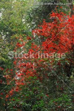 闺蜜情深的经典短句大全