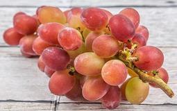 相遇唯美句子39句