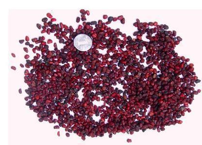 关于运动打卡简短语录26句