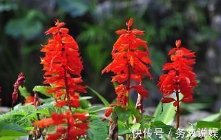 晚安朋友圈语句正能量短句集合23句