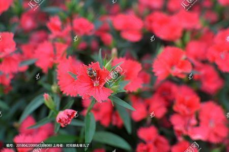 理科生专属浪漫表白句子46句