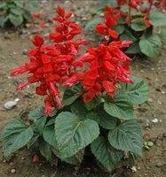 特别吸粉的短句 第一眼就心动的文案(精选55句)