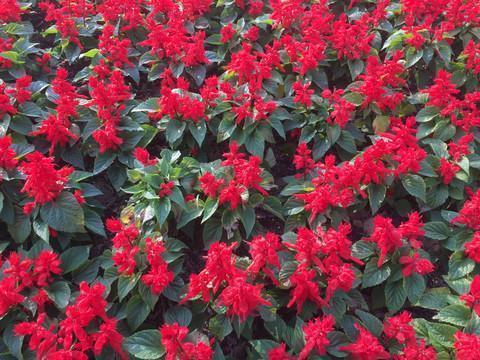 此时此刻伤感的句子说说心情