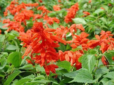 每日清晨微语短句 早安简短正能量语录精选32句