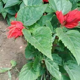 简单有道理的句子 非常有道理的短句收集29句