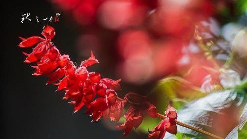 对现实朋友失望的句子说说心情短语