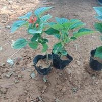 一个人生活挺好的句子 一个人的生活经典语录49句