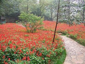 农牧机械生产企业口号：节能好机会轻松农牧乐