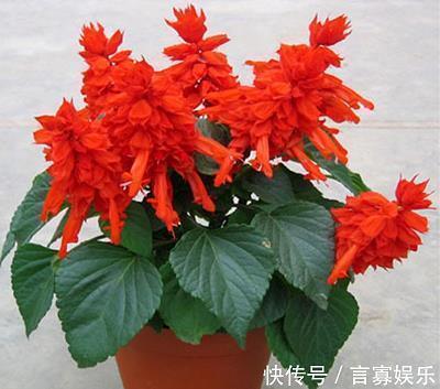 女人奋斗正能量的短句 致自己努力奋斗的句子短句