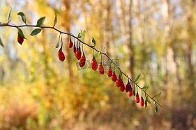 10月心情说说唯美(精选84句)