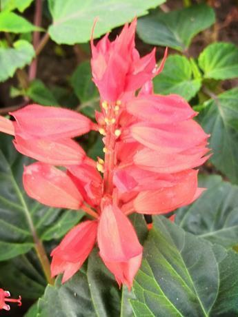 适合军训时发的说说短句(精选36句)