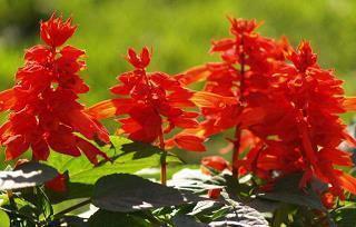 2021立冬经典祝福语文案(精选48句)