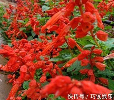 美容院早安语录适合发朋友圈早安的句子54句