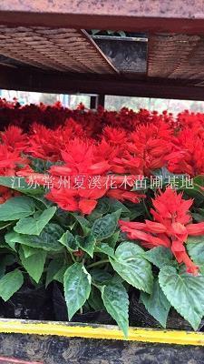 历届世界邮政日主题和宣传口号