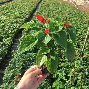 【精品】晚安致自己的句子,简短窝心,一天一句暖心话晚安汇编86句