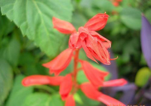 安慰心情不好的句子69句