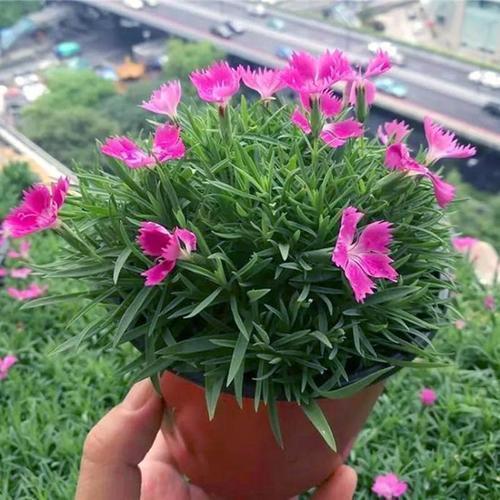 霜降节气经典文案说说(精选33句)