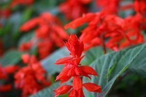 适合雨天发朋友圈的简短句子54句