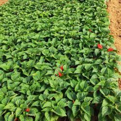 月初发朋友圈的精美句子