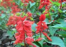 表达想回家的心情说说 关于回家的心情说说47句