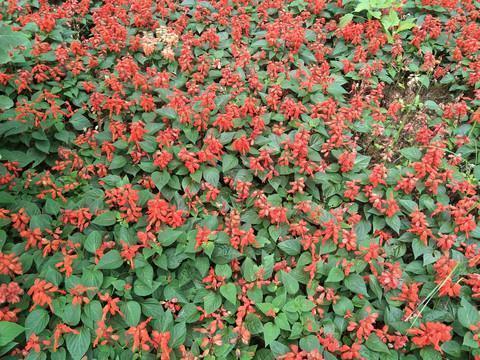 道家短句 道教人生经典语句