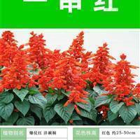 跟女朋友说早晨的最暖心的话汇总30句