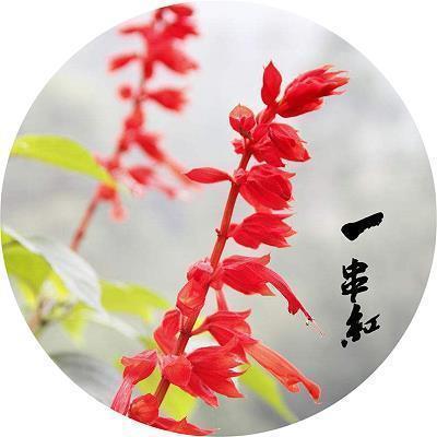 适合发朋友圈励志阳光的句子32句