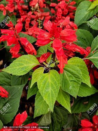 八月十五中秋节团圆祝福文案说说(精选48句)