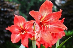 【精华】2021双十一来临霸气句子推荐125句