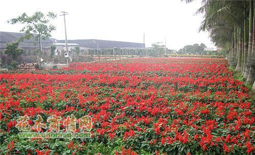 11月再见12月你好早安心语2021最新(精选92句)