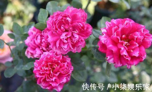 温暖人心的唯美句子大全
