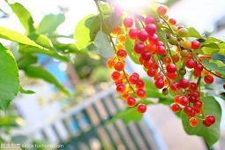 最新清明节经典祝福文案句子72句