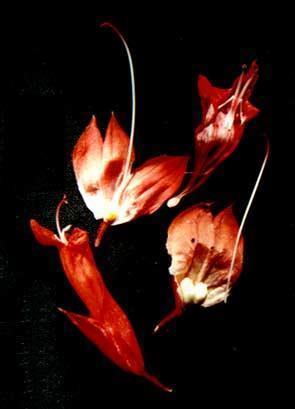 有些事很无奈的说说 生活中太多无奈的句子精选80句