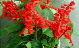 发朋友圈的说说心情短句汇编40句