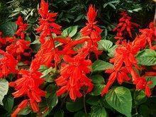 温馨的母亲节祝福语短信2021年精选71句